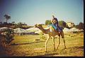 Camel_ride_01