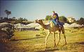 Camel_ride_02