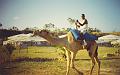 Camel_ride_03