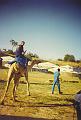 Camel_ride_04