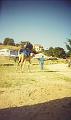 Camel_ride_05