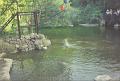 Crocodile_Farm_03