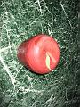 Cedar_Apple01_04